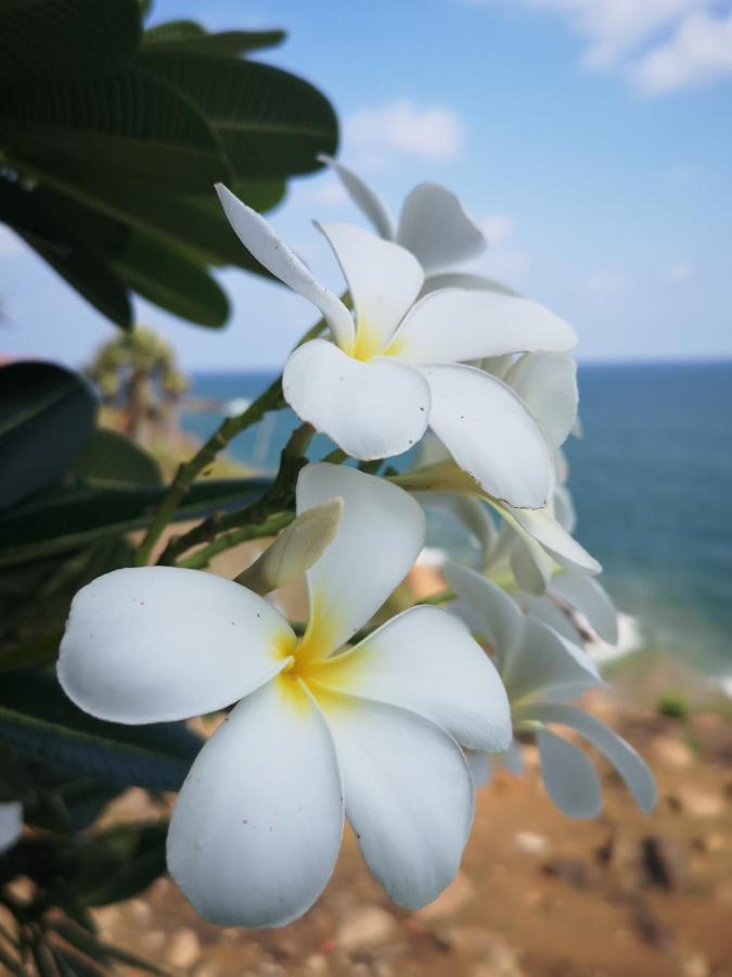 Cherai Lake Resort Cherai Beach Buitenkant foto