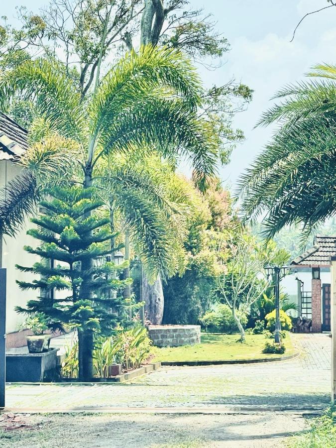 Cherai Lake Resort Cherai Beach Buitenkant foto